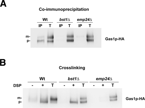 Figure 5: