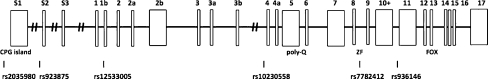 Fig. 1