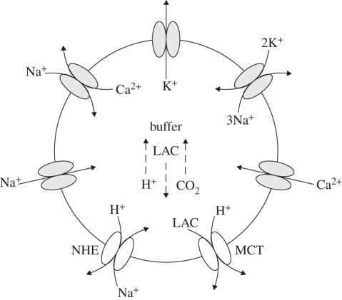 Figure 2.