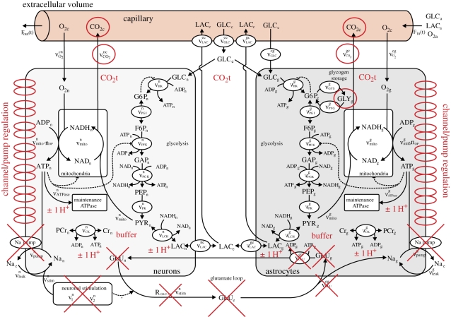 Figure 1.