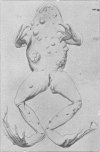 1597