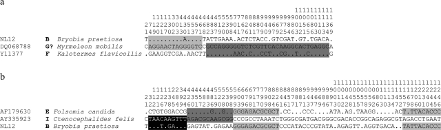 FIG. 3.