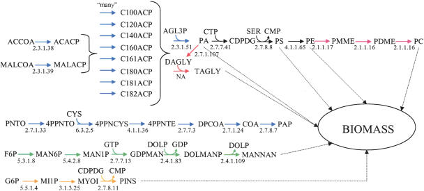 Figure 7