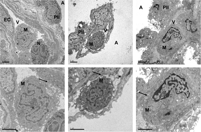 Figure 7