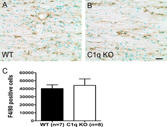 Figure 9.