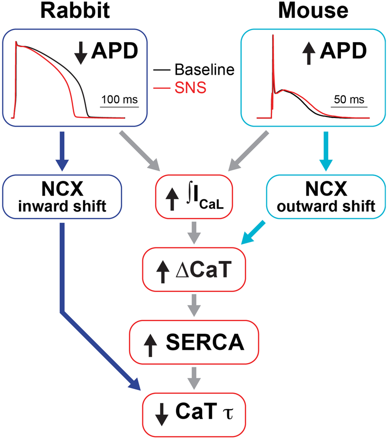 Figure 9.