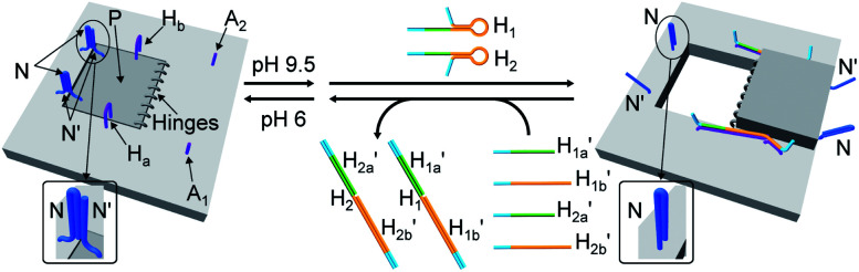 Fig. 4