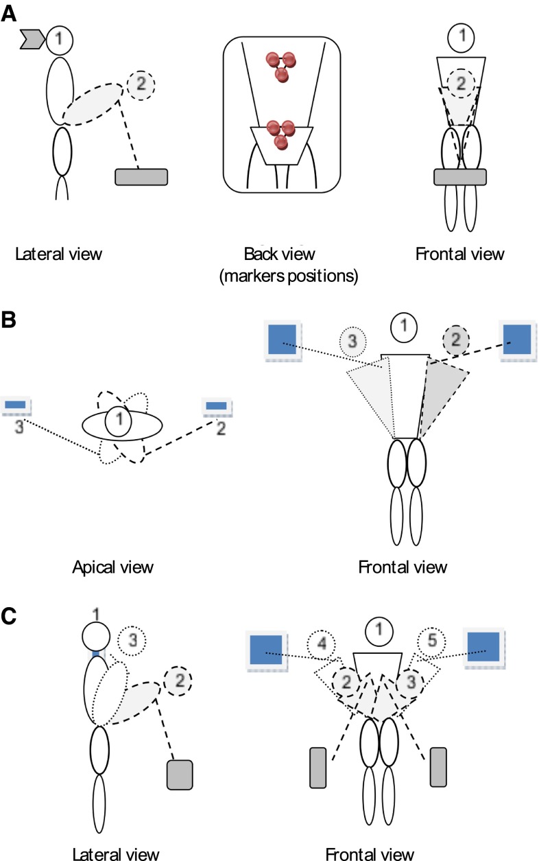 Fig. 1