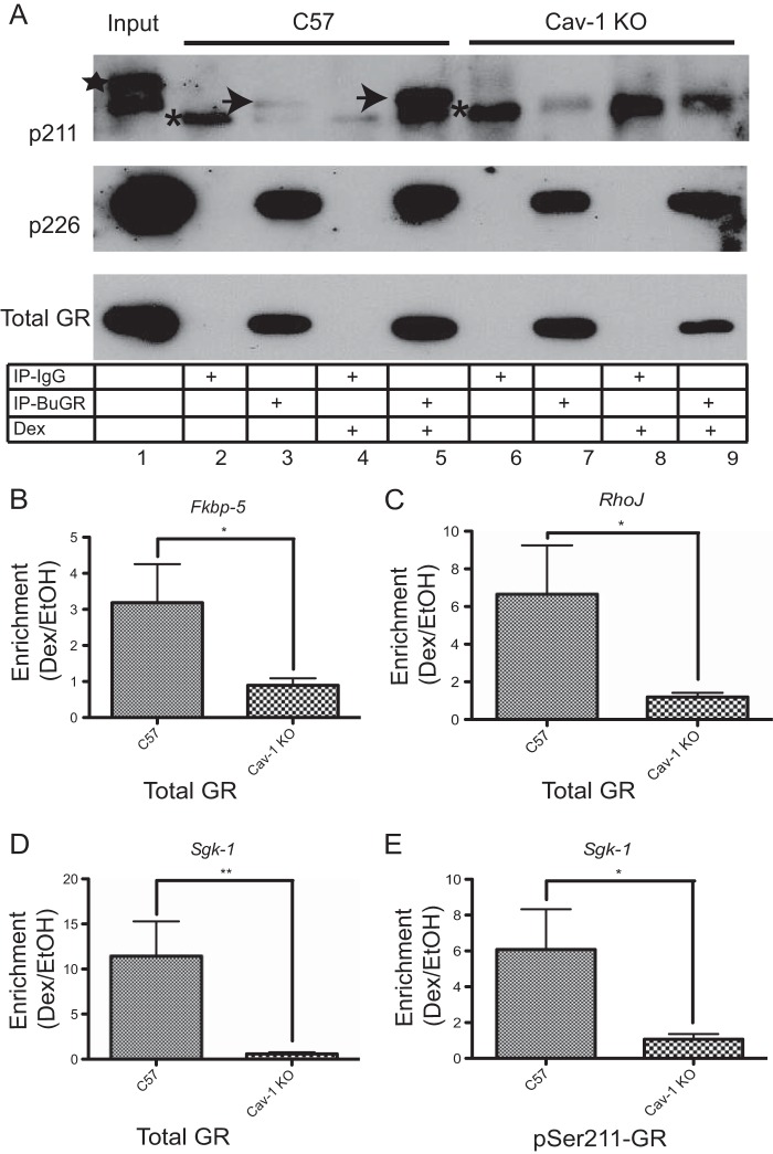 FIG 6