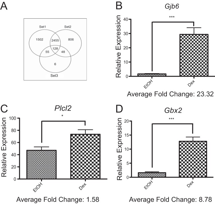 FIG 4