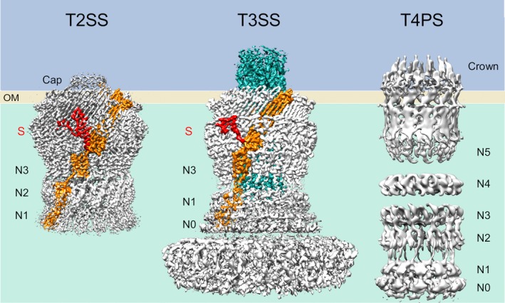 Figure 2