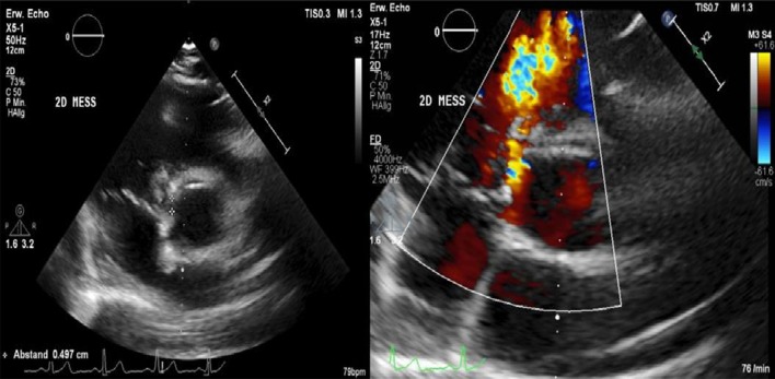 Fig. 7