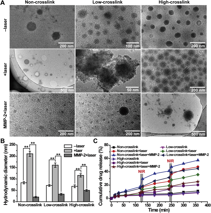 Figure 3