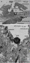 Figure 5: