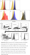 Supplementary Fig. S1