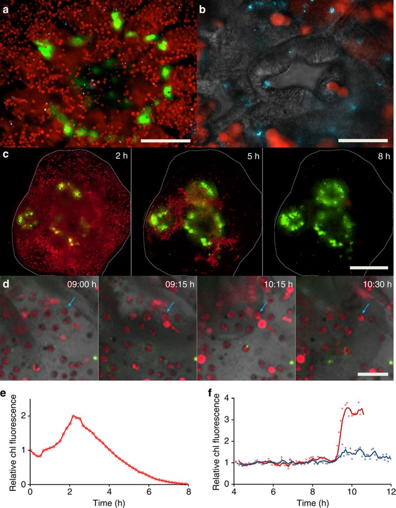 Figure 4