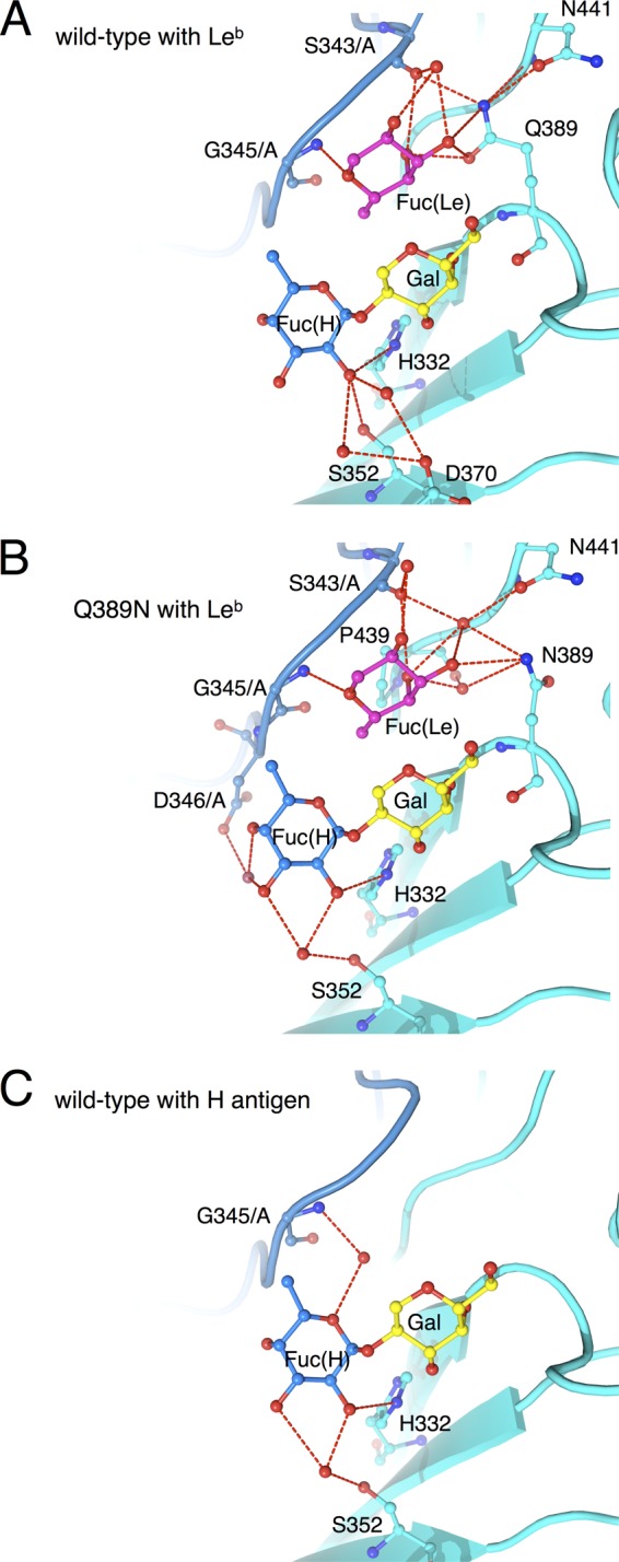 Fig 6