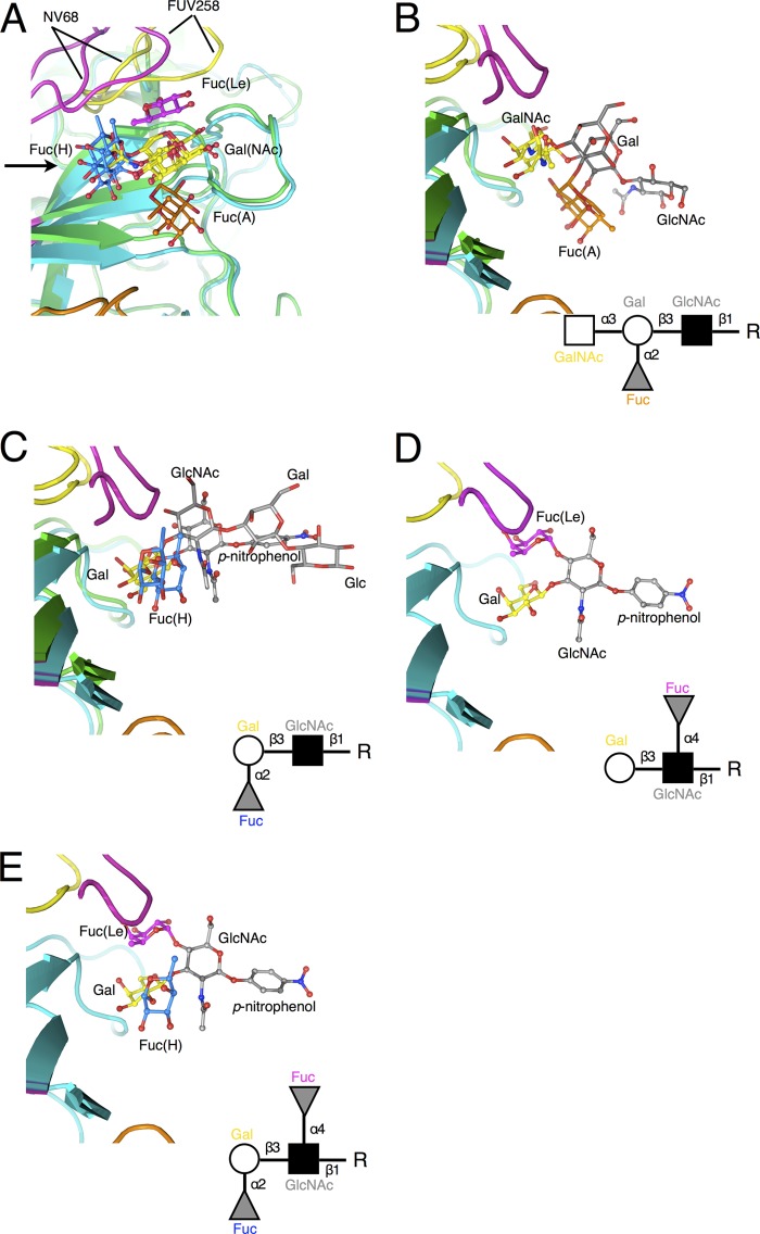 Fig 3