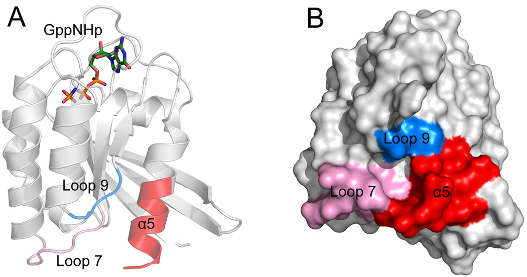 Fig. 8