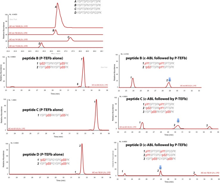 Figure 3—figure supplement 3.