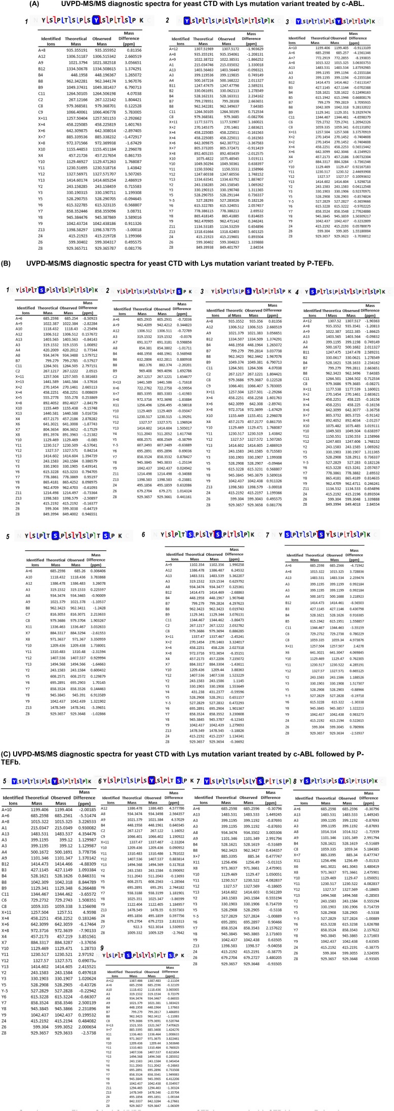 Figure 3—figure supplement 2.