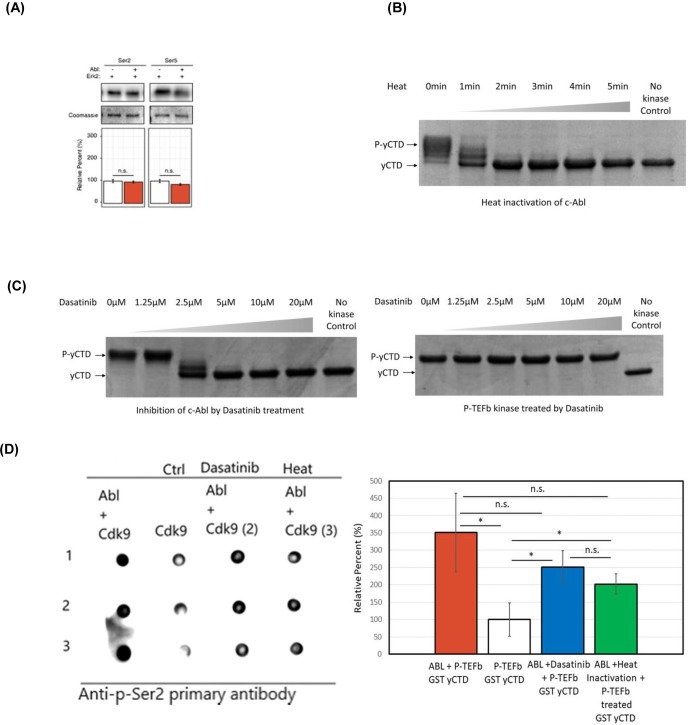 Figure 3—figure supplement 1.