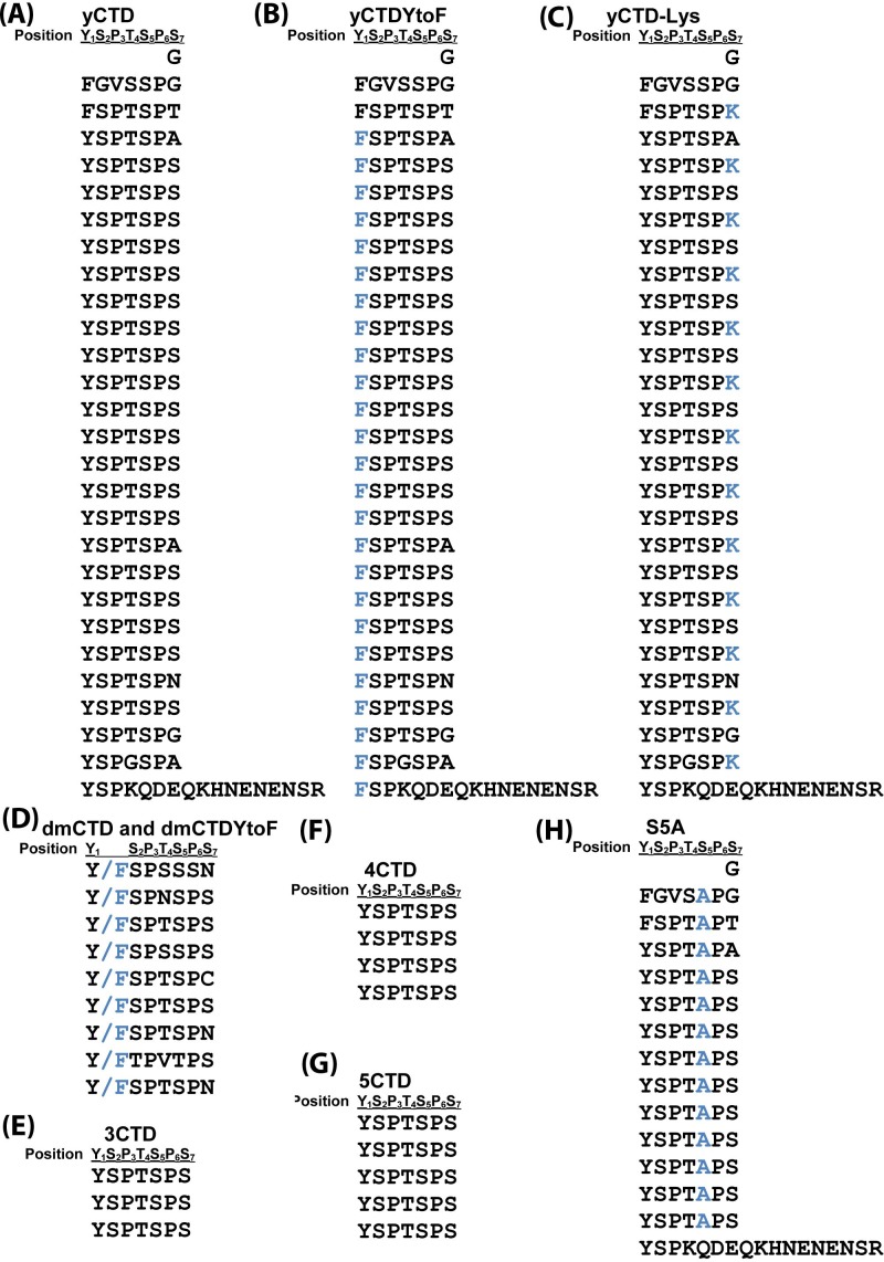 Figure 1—figure supplement 1.