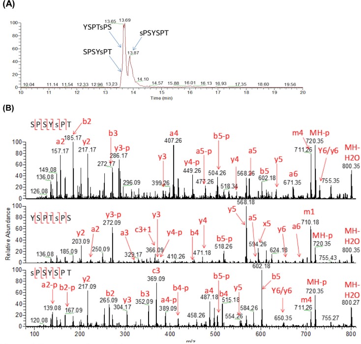 Figure 3—figure supplement 4.