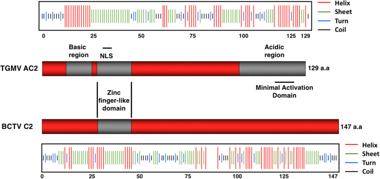 FIGURE 2