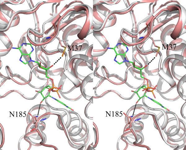 Figure 7