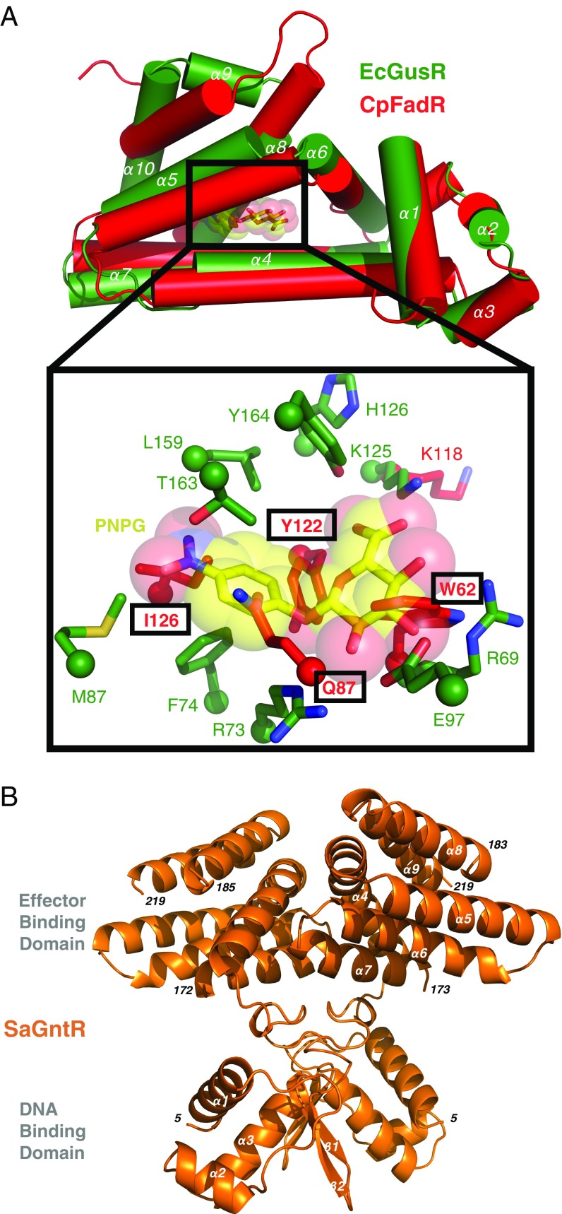 Fig. 6.