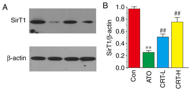 Figure 10.