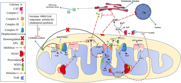 FIGURE 2