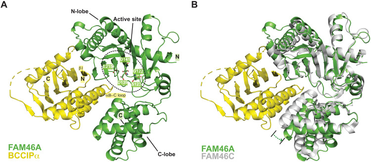 Fig. 3.