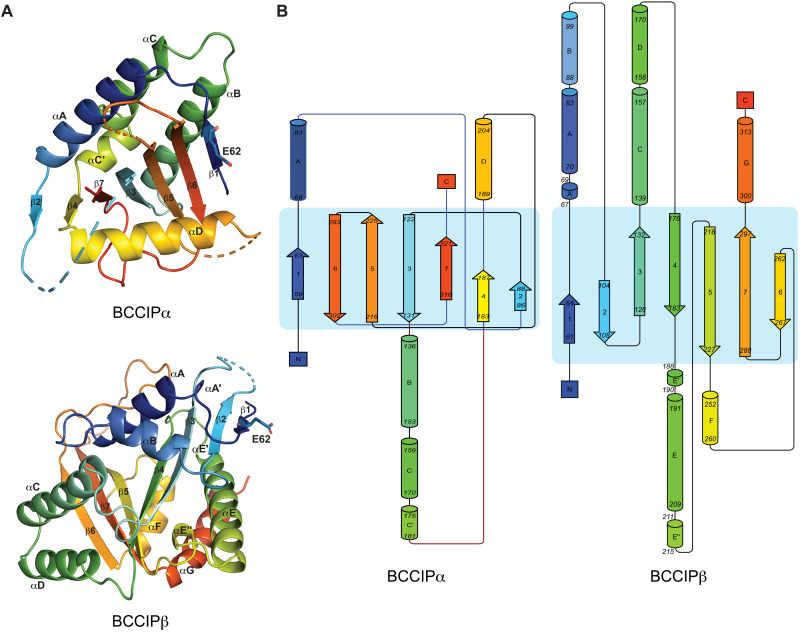 Fig. 4.