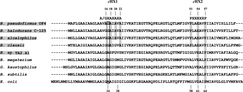 FIGURE 1.