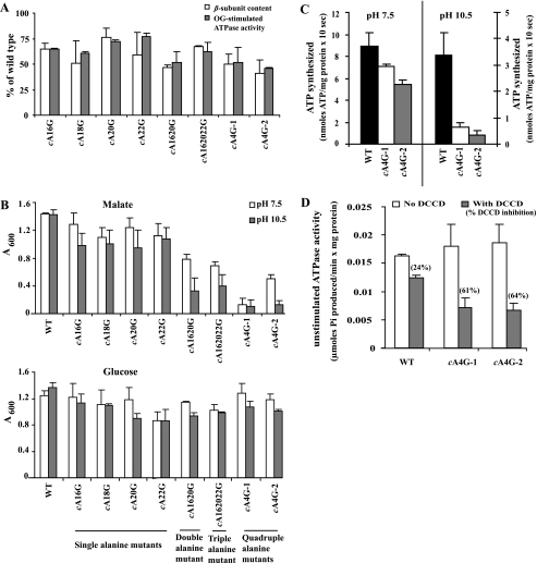 FIGURE 2.