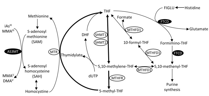 Fig 4