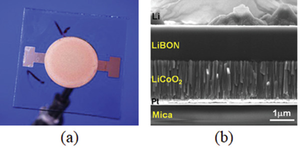 Figure 29