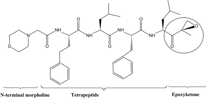 Figure 2