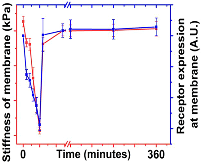 graphic file with name nihms-1745985-f0001.jpg