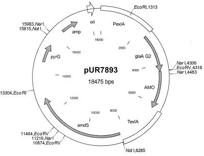 FIG. 1