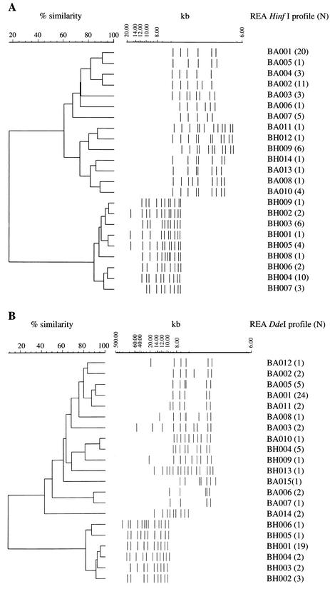 FIG. 3.