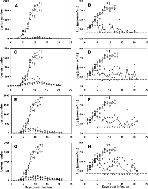 FIG. 2.