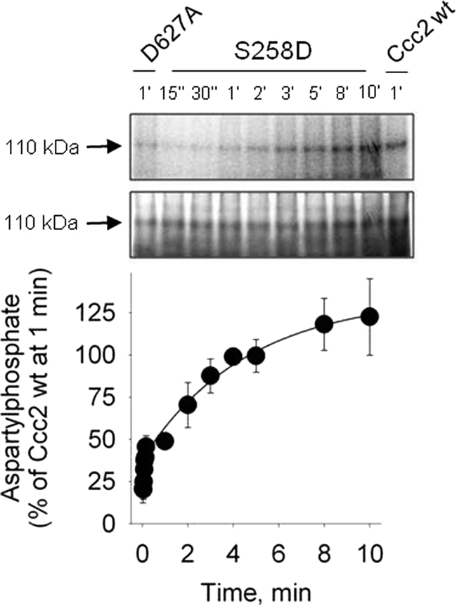 FIGURE 7.