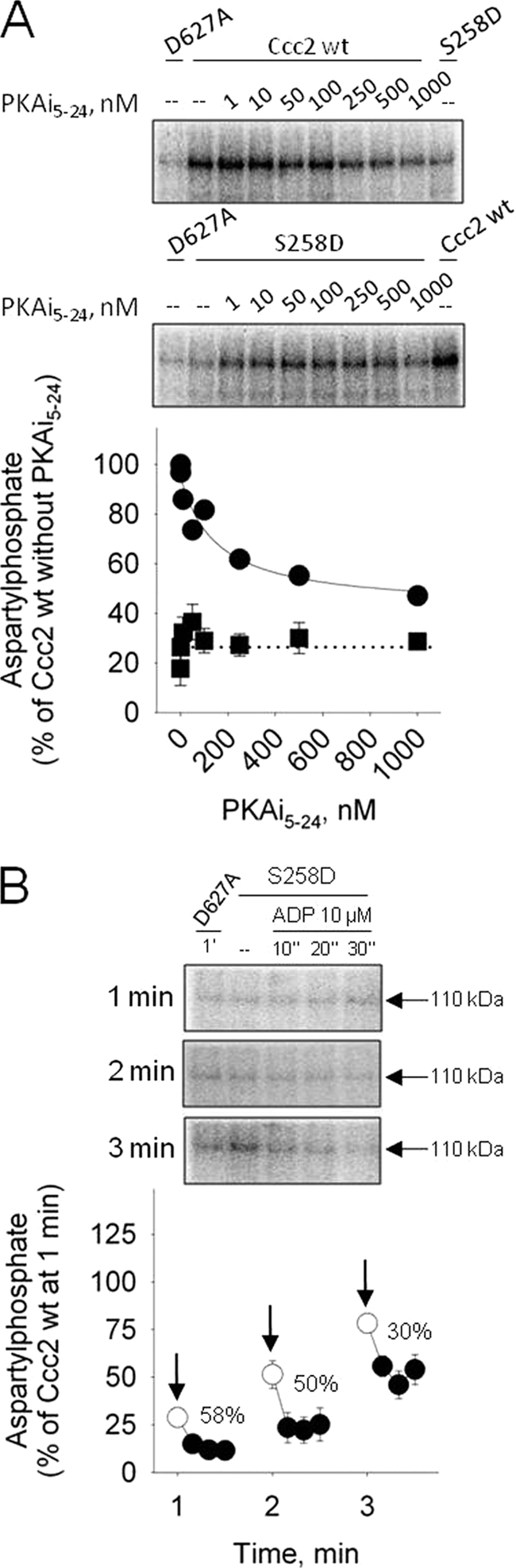 FIGURE 9.