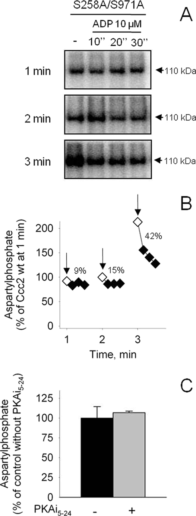 FIGURE 11.