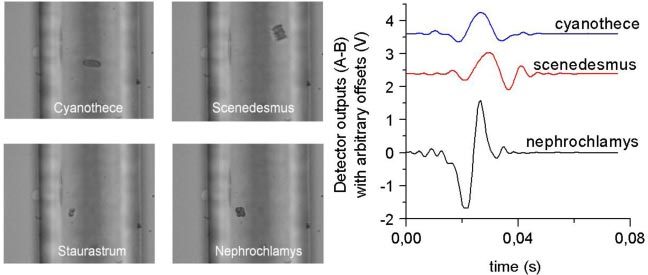 Fig. 3