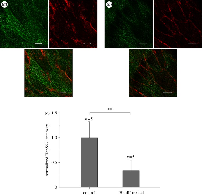 Figure 1.