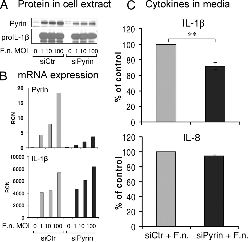 FIGURE 3